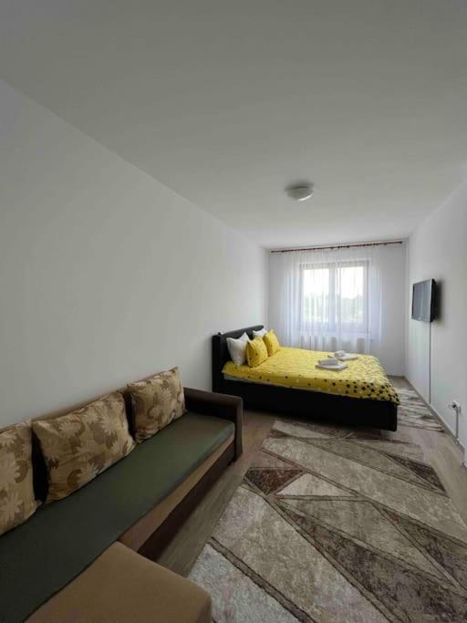 Alex 2 Apartament Iasi Buitenkant foto